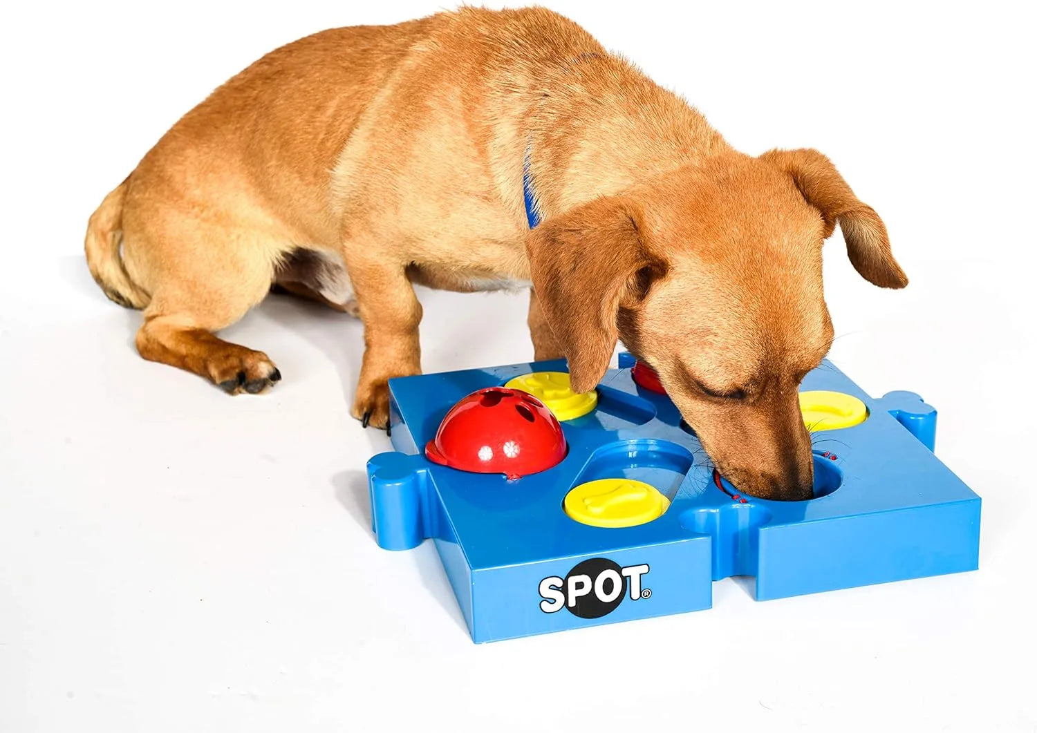 Spot Seek-A-Treat Flip 'N Slide Connector Puzzle Interactive Dog Treat and Toy Puzzle