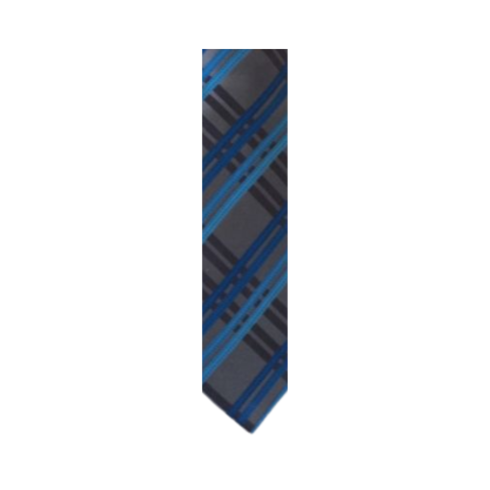 Blue/Gray Alfani Tie